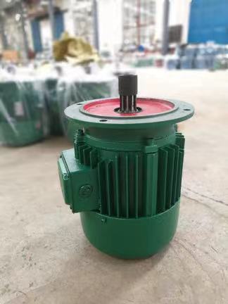 真牛集團(tuán)、方泰智能起重機(jī)錐形制動(dòng)電機(jī)、