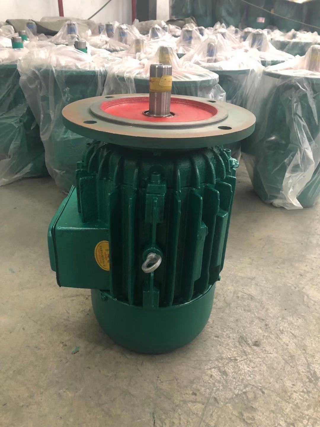 真牛架橋機(jī)驅(qū)動(dòng)電機(jī)真牛 錐形制動(dòng)電機(jī)3.0kw單鍵方泰智能起重機(jī)