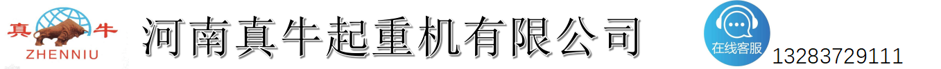 河南真牛起重機(jī)有限公司官網(wǎng)_河南真牛電機(jī)_真牛起重機(jī)